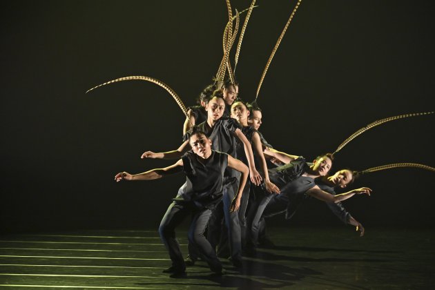 Birdy (8 Dancers) 5